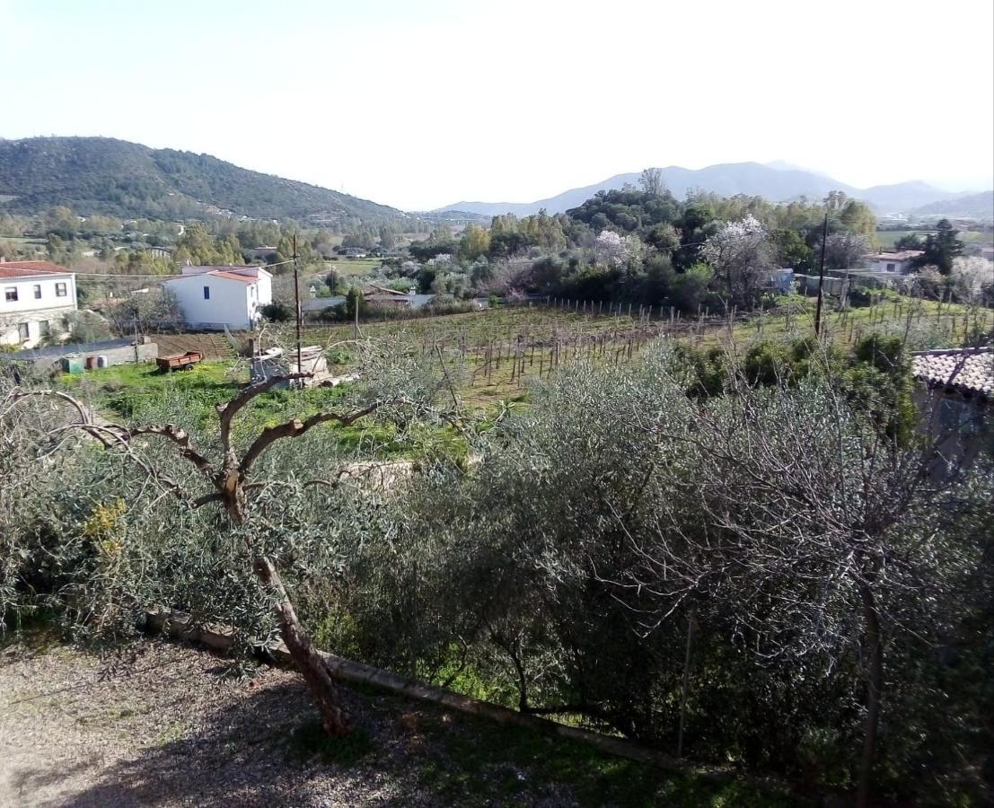 Appartamento Titina Jerzu Buitenkant foto
